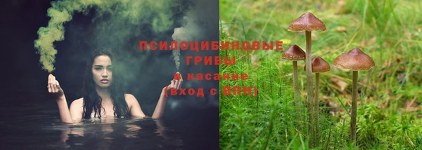 гидра Белокуриха