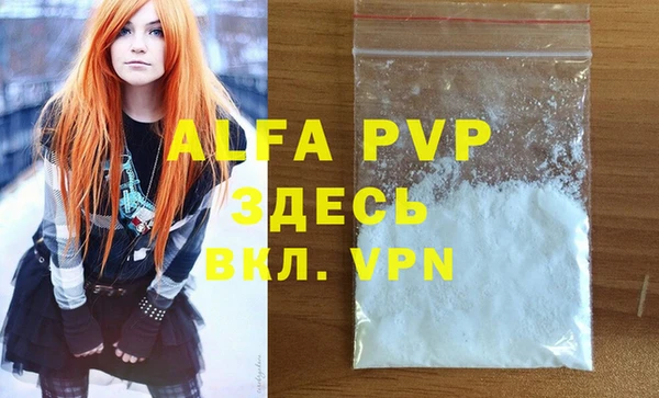 гидра Белокуриха
