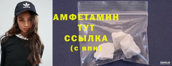 гидра Белокуриха